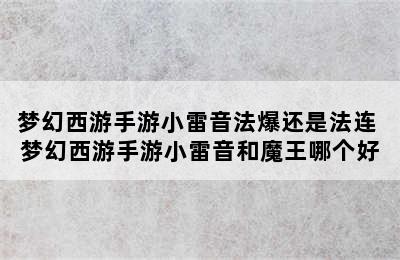 梦幻西游手游小雷音法爆还是法连 梦幻西游手游小雷音和魔王哪个好